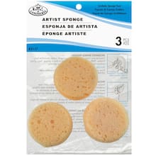 Sponges Michaels